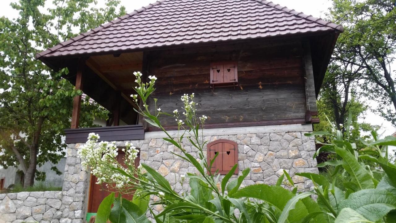 Pod Jabukom, Zlatibor, Rudine Country house *
