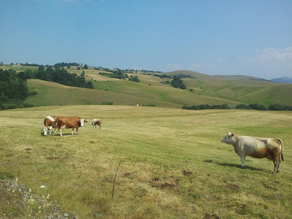 Pod Jabukom, Zlatibor, Rudine Country house Zlatibor