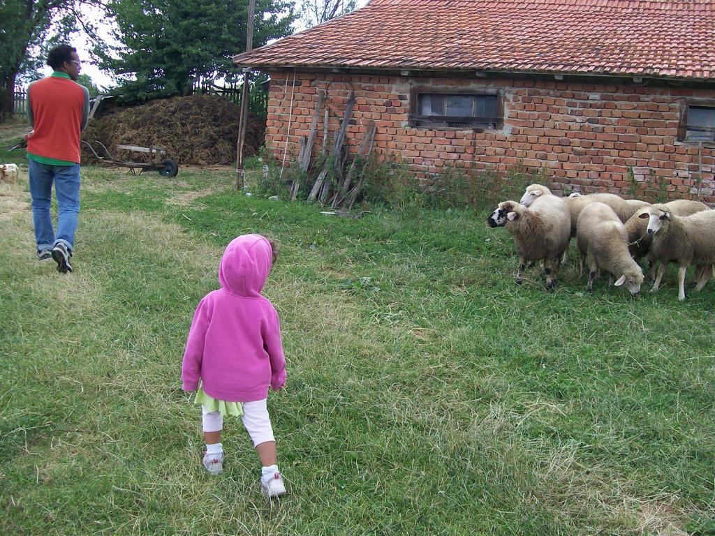 Country house Pod Jabukom, Zlatibor, Rudine