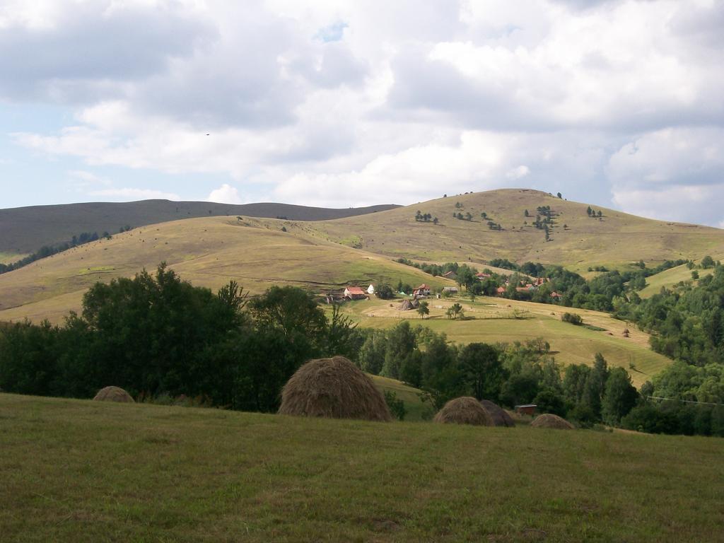 Country house Pod Jabukom, Zlatibor, Rudine