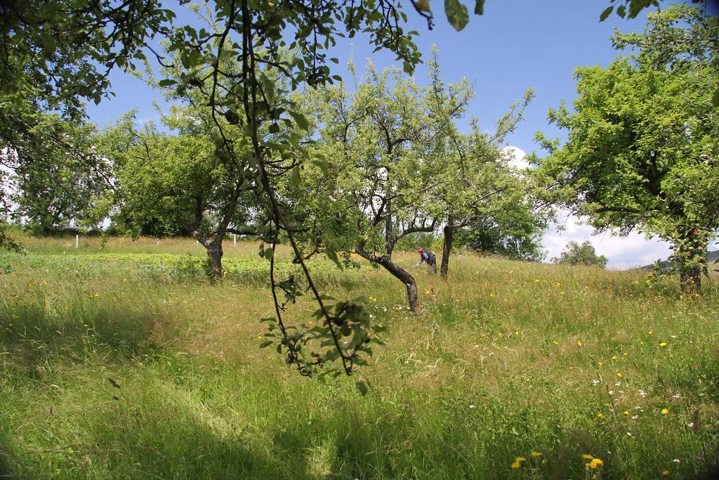 Country house Pod Jabukom, Zlatibor, Rudine