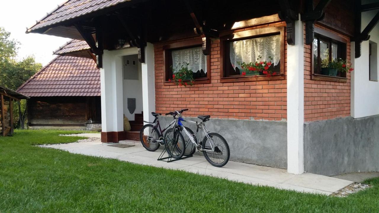 Pod Jabukom, Zlatibor, Rudine Country house Zlatibor