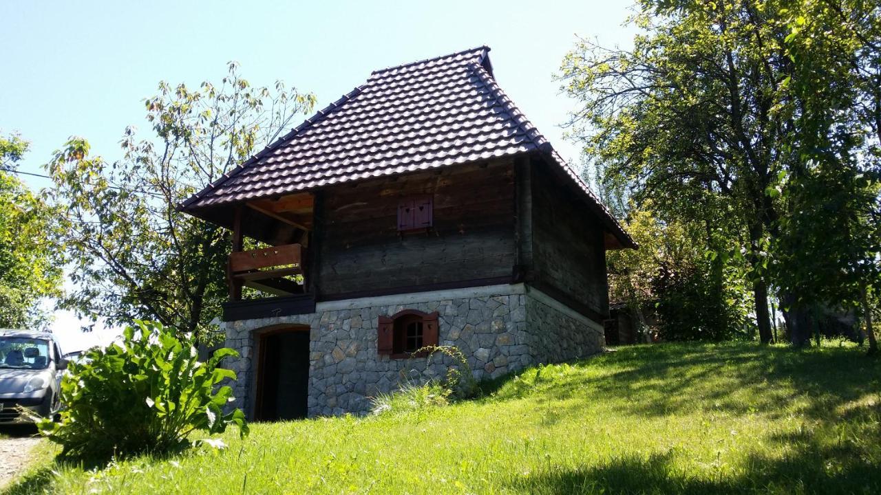 Pod Jabukom, Zlatibor, Rudine